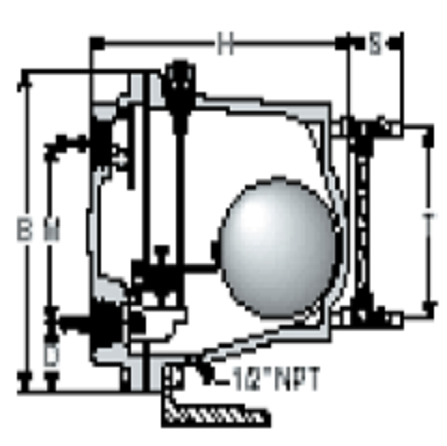 L+M 2