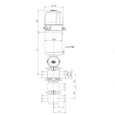 MSV 2