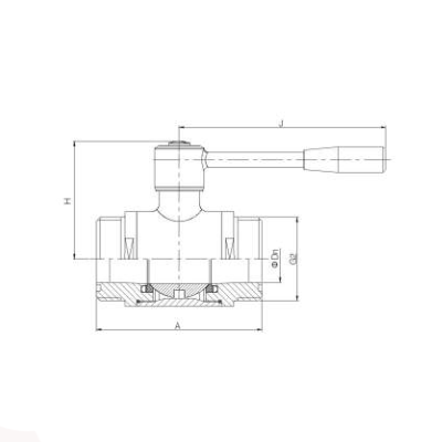 BV2W 2