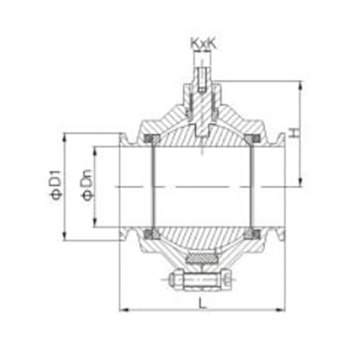 DBV 2